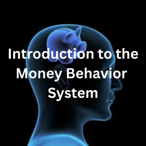 Introduction to the Money Behavior System
